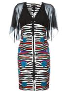 Roberto Cavalli Striped Rose Print Dress