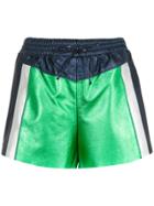 Nk Leather Shorts - Green