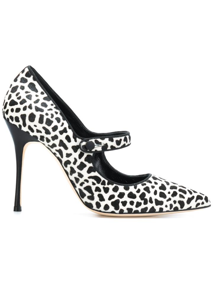 Manolo Blahnik Camparinew - Black