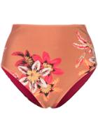 Patbo Floral Carmen Bikini Bottoms - Brown