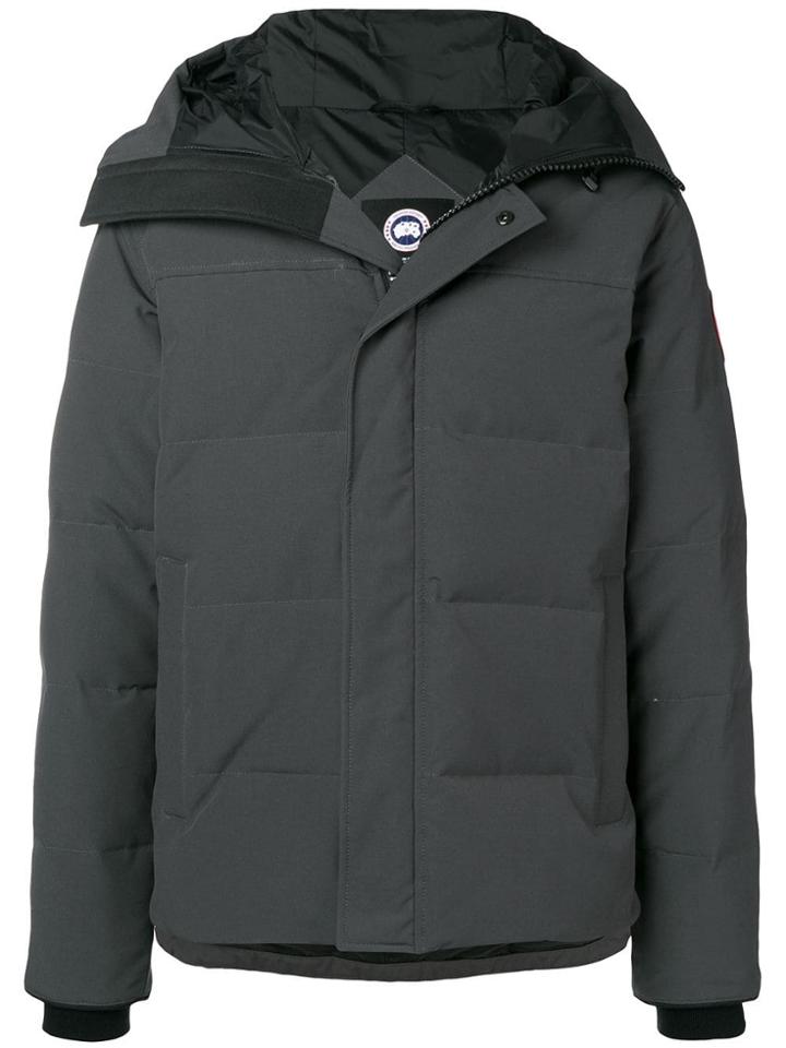 Canada Goose Short Hooded Padded Coat - Grey