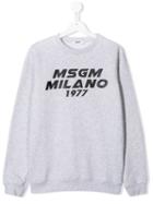 Msgm Kids 020242t101 - Grey