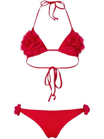 La Reveche - Red