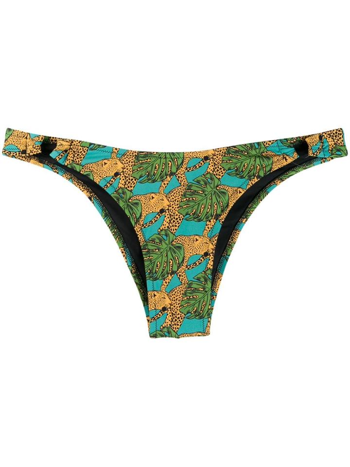 Reina Olga Jungle-print Bikini Briefs - Green