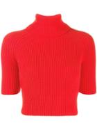 Elisabetta Franchi Turtleneck Ribbed Knit Sweater - Orange