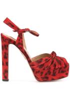 Aquazzura Leopard Print Sandals - Red