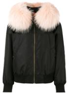 Mr & Mrs Italy - Raccoon Fur Trimmed Bomber Jacket - Women - Cotton/polyamide/polyester/racoon Fur - L, Black, Cotton/polyamide/polyester/racoon Fur