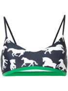 The Upside Horses Ballet Bra - Blue