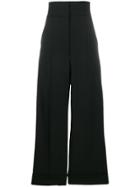 Alberta Ferretti Wide-leg Tailored Trousers - Black