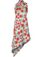 Barbara Bologna Fire Flower Dress - Blue