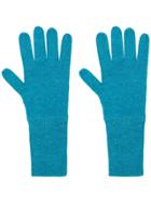 Allude Knit Gloves - Blue