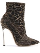 Casadei - 3111 Leo Riace