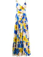 Borgo De Nor Frida Floral Maxi Dress - Blue