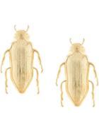 Natia X Lako Big Beetle Earrings - Gold