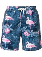 Mc2 Saint Barth Flamingo Print Swim Shorts - Blue