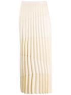 Lorena Antoniazzi Pleated Panelled Skirt - Neutrals
