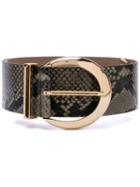 B-low The Belt Curved Buckle Belt - Green