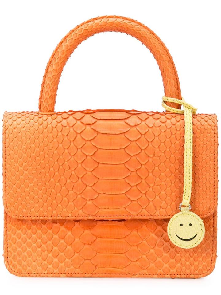 Gelareh Mizrahi Top Handle Python Clutch - Yellow & Orange