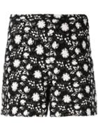 Giambattista Valli - Printed Shorts - Women - Silk/cotton/polyamide/polyester - 40, Black, Silk/cotton/polyamide/polyester