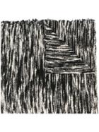 Faliero Sarti Woven Zebra Scarf