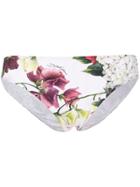 Dolce & Gabbana Floral Print Briefs - White