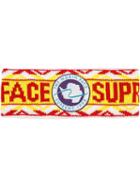 Supreme Tnf Expedition Ss17 Headband - White