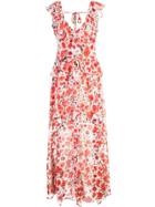 Misa Los Angeles Floral Print Maxi Dress - Neutrals
