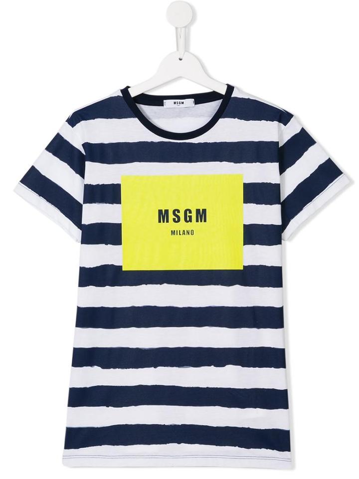 Msgm Kids Striped T-shirt, Boy's, Size: 14 Yrs, Blue