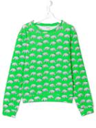 Au Jour Le Jour Kids Rhinoceros Sweatshirt, Boy's, Size: 14 Yrs, Green