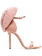 Giuseppe Zanotti Design Rose Pumps - Pink