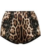 Dolce & Gabbana Leopard Print Short Shorts - Neutrals