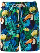 Bluemint Bird Of Paradise Print Swim Shorts