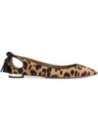 Aquazzura Leopard Print Ballerinas