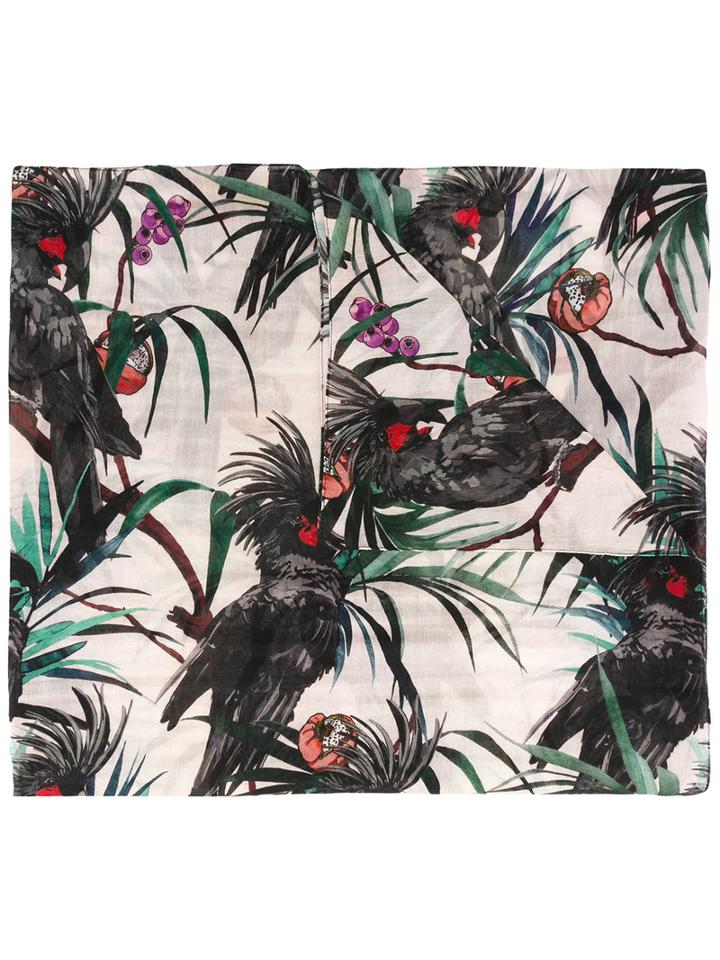 Ps By Paul Smith - Kakatoo Motive Print Scarf - Women - Silk/cotton - One Size, Women's, Pink/purple, Silk/cotton