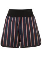 Sacai Striped Shorts, Women's, Size: 2, Blue, Cupro/cotton/lyocell