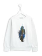 Marcelo Burlon County Of Milan Kids Feather Print Sweatshirt
