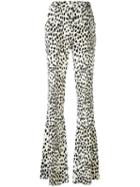 Roberto Cavalli Flared Leopard Print Trousers, Women's, Size: 48, White, Cotton/viscose/spandex/elastane