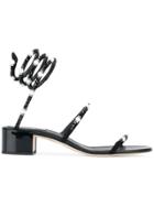 René Caovilla Embellished Tie Around Sandals - Black