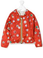 K Way Kids - Printed Bomber Jacket - Kids - Polyamide/polyester - 12 Yrs, Yellow/orange