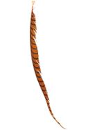 Marni Long Feather Earring - Orange