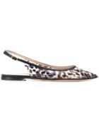 Gianvito Rossi Leopard Print Pvc Pumps - Black