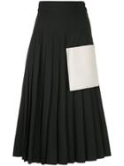 Maryam Nassir Zadeh High-waisted Pleated Skirt - Black