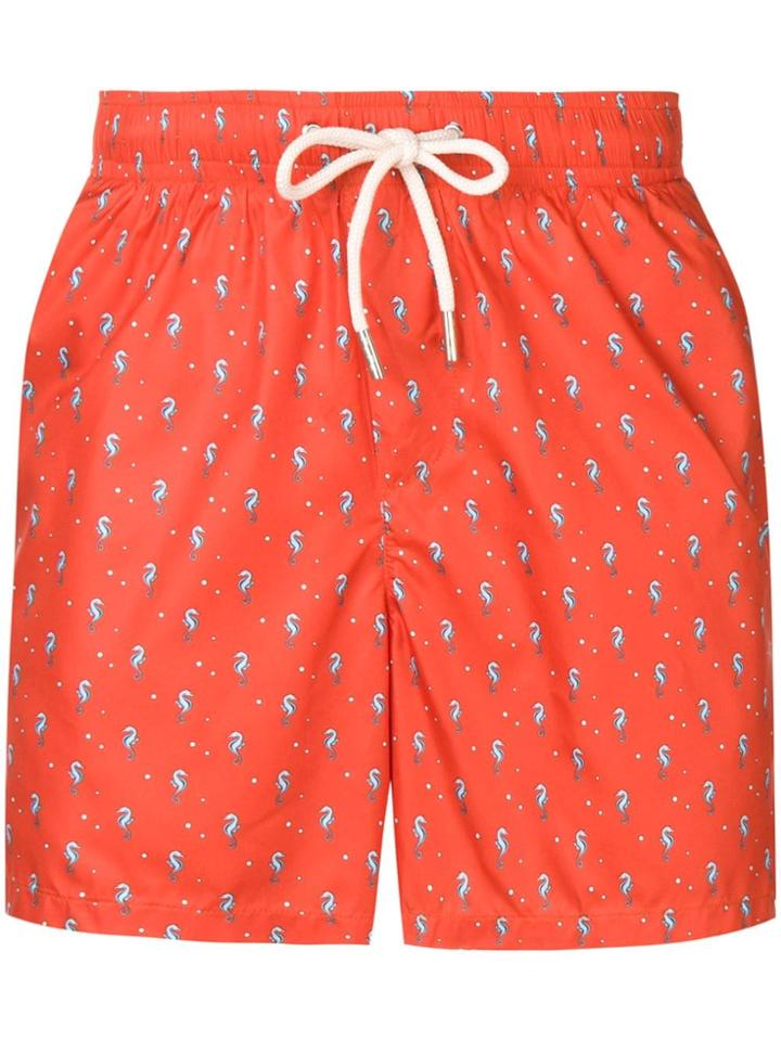 Fefè All Over Seahorse Swim Shorts - Red