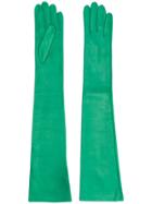 No21 Elbow Length Gloves - Green