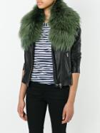 Mr & Mrs Italy Fur Collar, Women's, Green, Racoon Fur