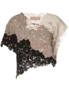 Ruban Floral Lace Top - Brown