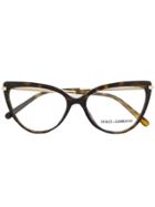 Dolce & Gabbana Eyewear Cat Eye Glasses - Brown
