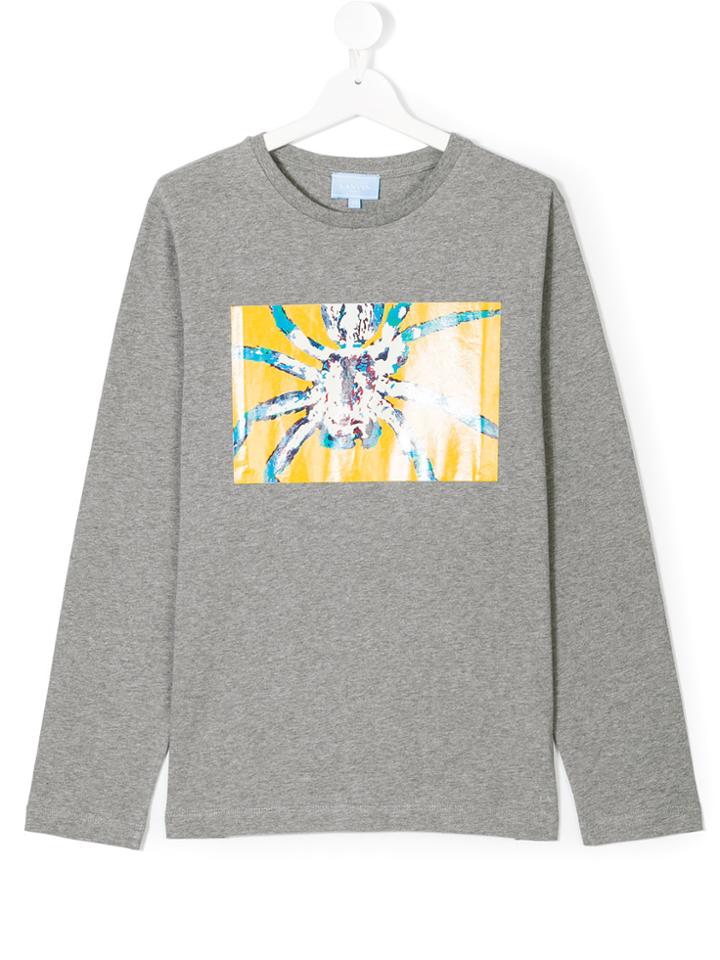 Lanvin Petite Teen Spider Print Sweatshirt - Grey