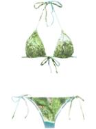 Isolda - Green