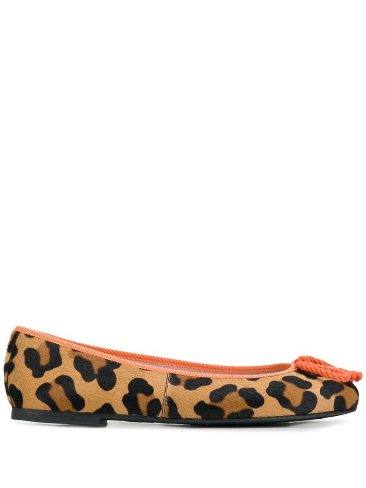 Pretty Ballerinas Leopard Ballerina Shoes - Brown